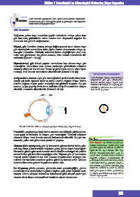 Page 47 Fen Lisesi Biyoloji 11 1 Unite