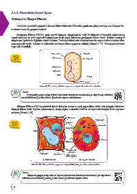 page 12 fen lisesi biyoloji 9 2 unite