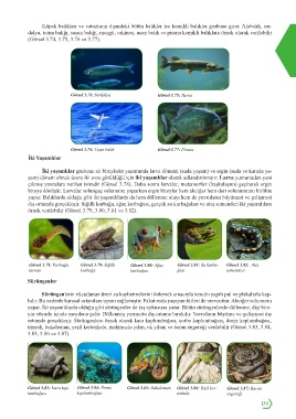 Page 25 Fen Lisesi Biyoloji 9 3 Unite