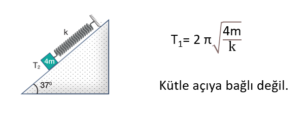 Basit Harmonik Hareket Yay sarkacı ve basit sarkacın periyodu ile