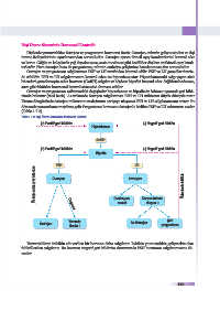 Page 69 Biyoloji 11 1 Unite