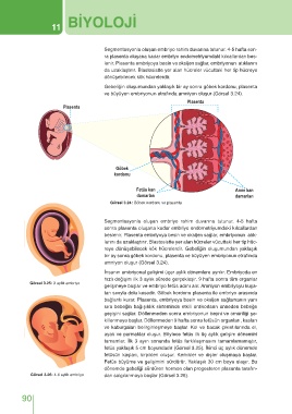 Page 91 - Biyoloji