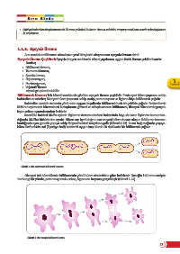 Page 15 Fen Lisesi Biyoloji 10 1 Unite