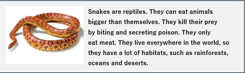 Animals and Nature - UNIT 4B/11