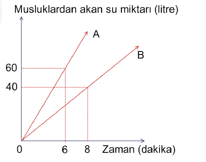 Etkileşimli Tahta Modu || OGM Materyal