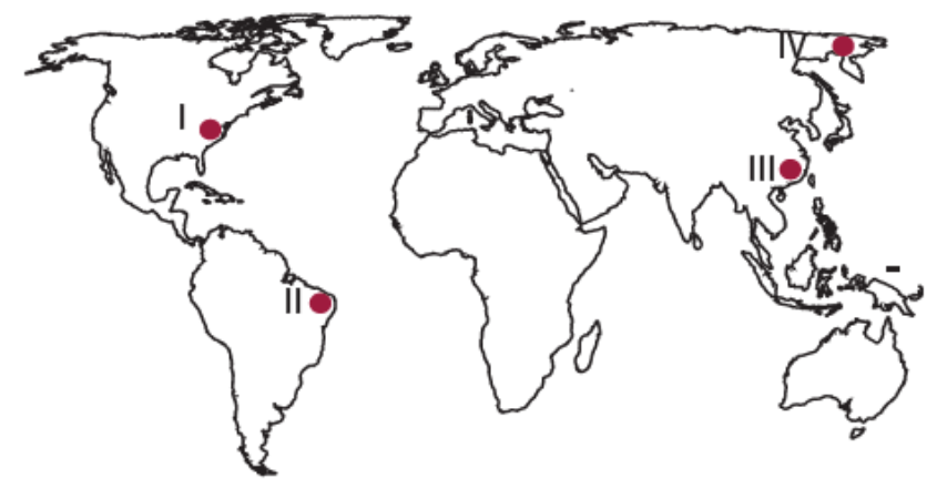 OGM Materyal