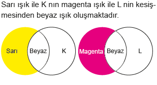 10. Sınıf Fizik Soru Testi